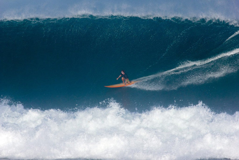 Zed's Surfing Adventures: Big Swell in Puerto Rico