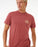 Rip Curl Staple Tee-Apple Butter