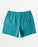 Billabong Every Other Day Lb Boardshorts-Dusty Teal