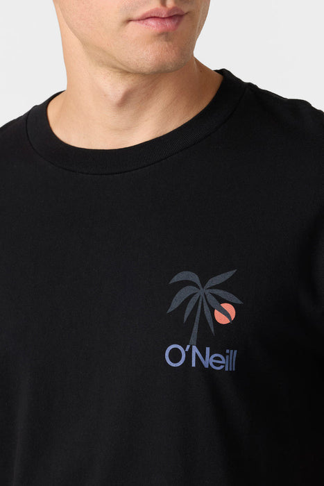 O'Neill OG Dusk Tee-Black