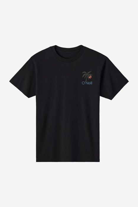 O'Neill OG Dusk Tee-Black