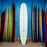 Kai Sallas Waikiki Thunderbolt Silver 10'0"