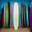 CJ Nelson Sprout 2.0 Thunderbolt Silver 9'6"