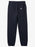 Quiksilver Graphic Jogger Pants-Navy