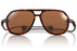 Ombraz Classics Narrow Sunglasses-Tortoise/Brown Polar