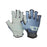 ION Amara Half Finger Gloves-Dark Blue